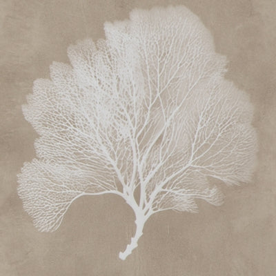 Color Swatch