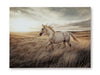 Errolville Wall Art