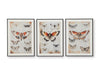 Jossletts Wall Art (Set of 3)