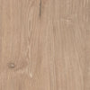 Cielden King Panel Bed, Dresser and Nightstand