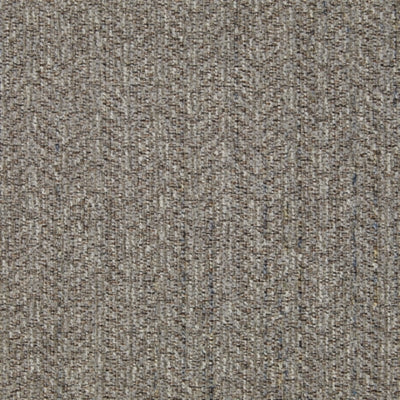 Color Swatch
