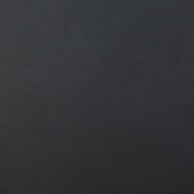 Color Swatch