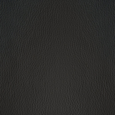 Color Swatch