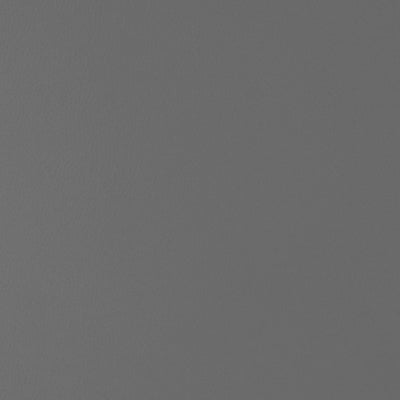 Color Swatch