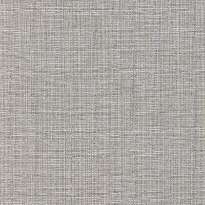 Color Swatch