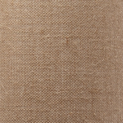 Color Swatch