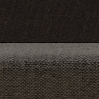 Color Swatch