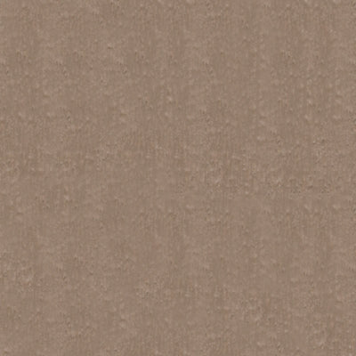 Color Swatch