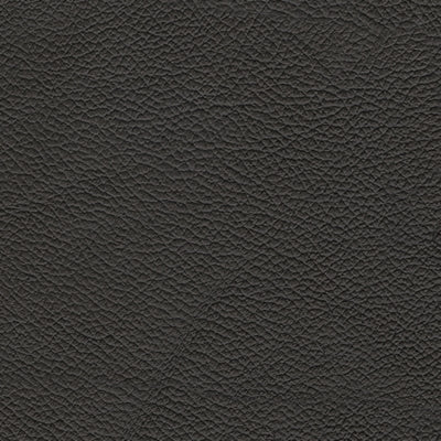 Color Swatch