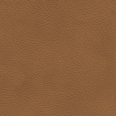 Color Swatch