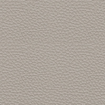 Color Swatch