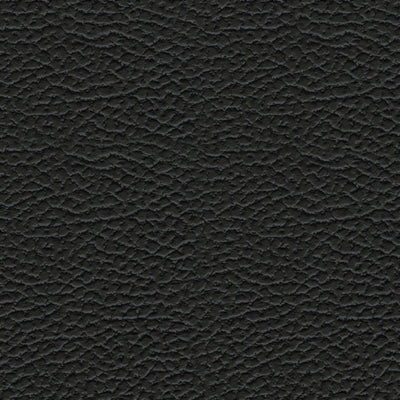 Color Swatch