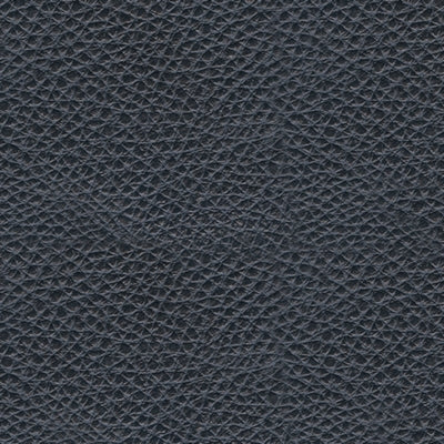 Color Swatch
