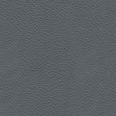 Color Swatch
