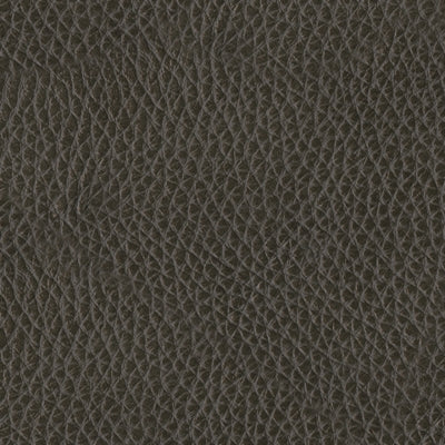 Color Swatch
