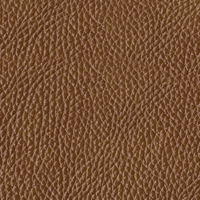 Color Swatch